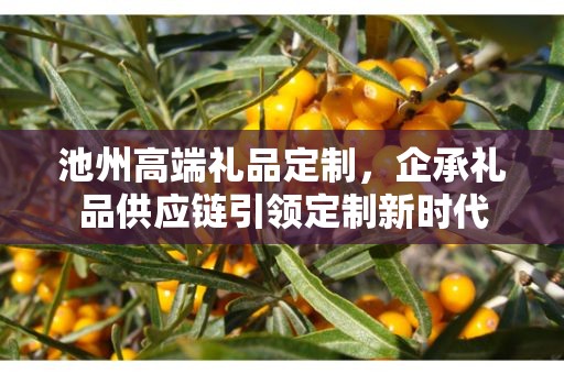 池州高端礼品定制，企承礼品供应链引领定制新时代